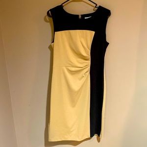 CAlVIN KLEIN Womens Dress